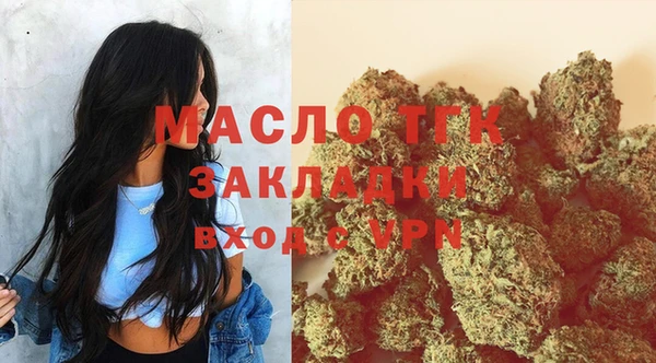 прущие грибы Новозыбков