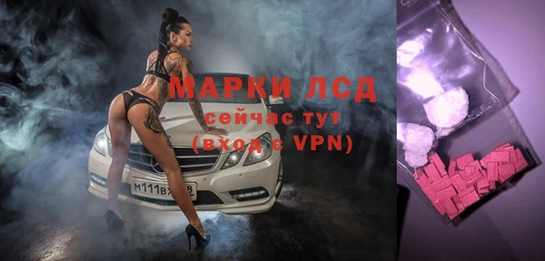 прущие грибы Новозыбков