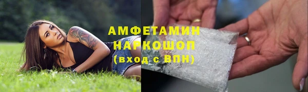 прущие грибы Новозыбков