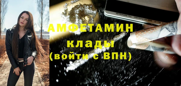 прущие грибы Новозыбков