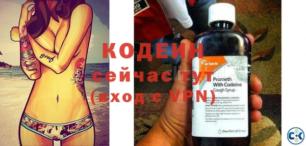 прущие грибы Новозыбков