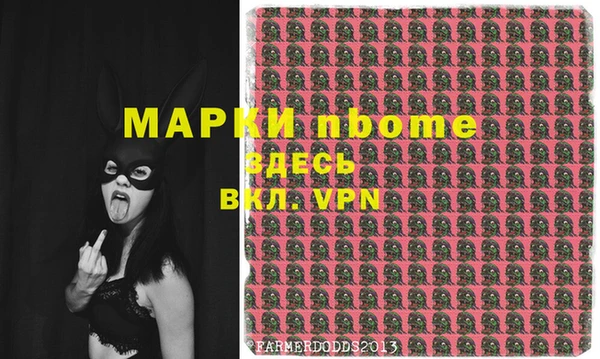 крисы Новокубанск