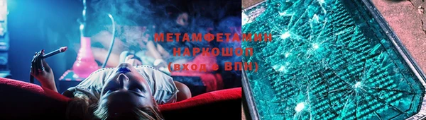 прущие грибы Новозыбков