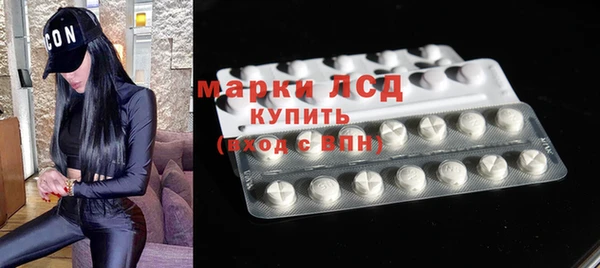 прущие грибы Новозыбков