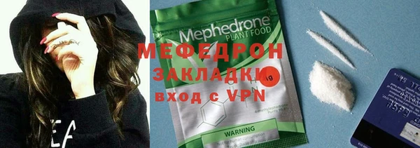 прущие грибы Новозыбков